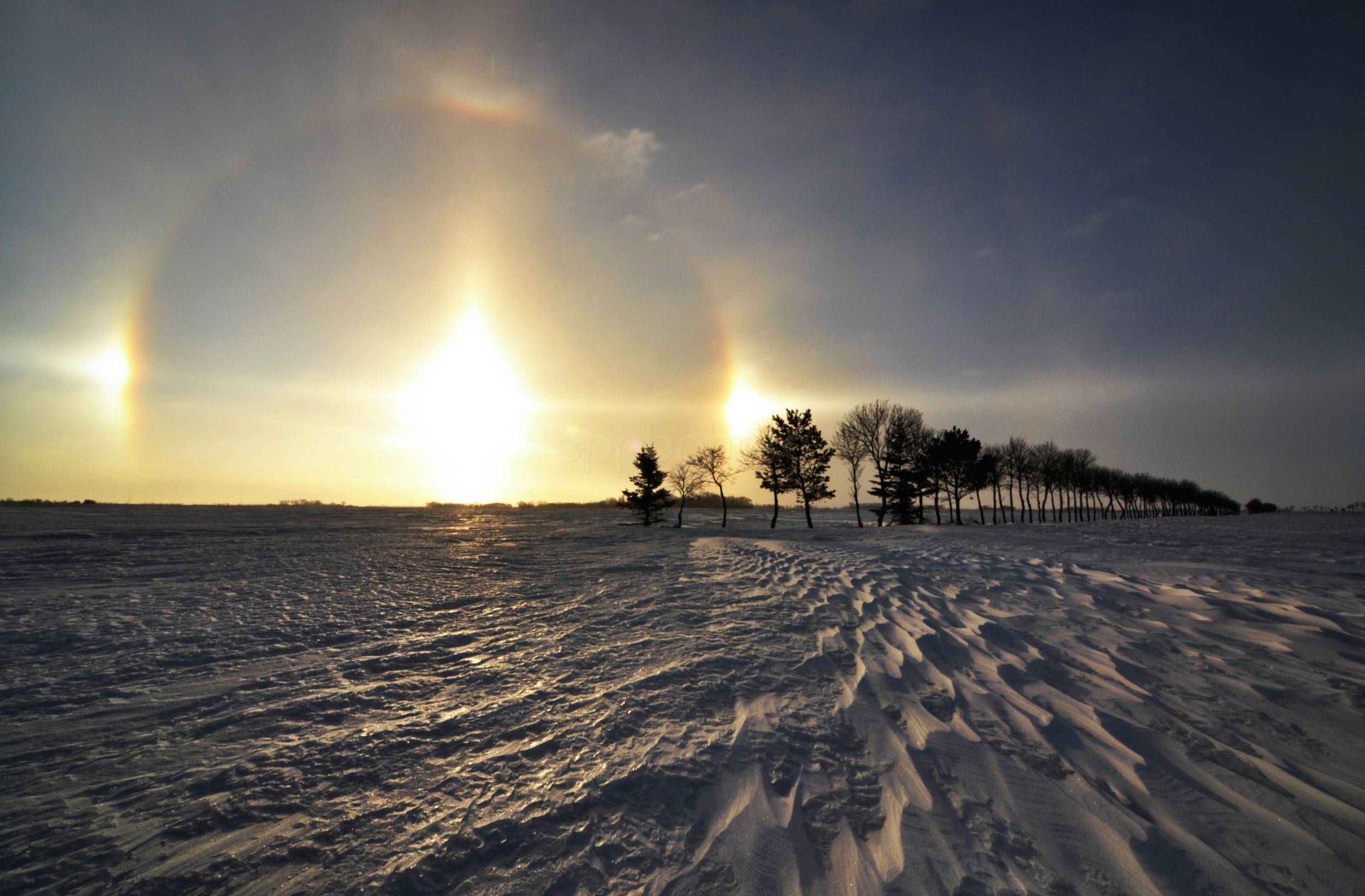 Frozen Apocalypse — 2011-02-19 06:24:41 — © eppbphoto.com