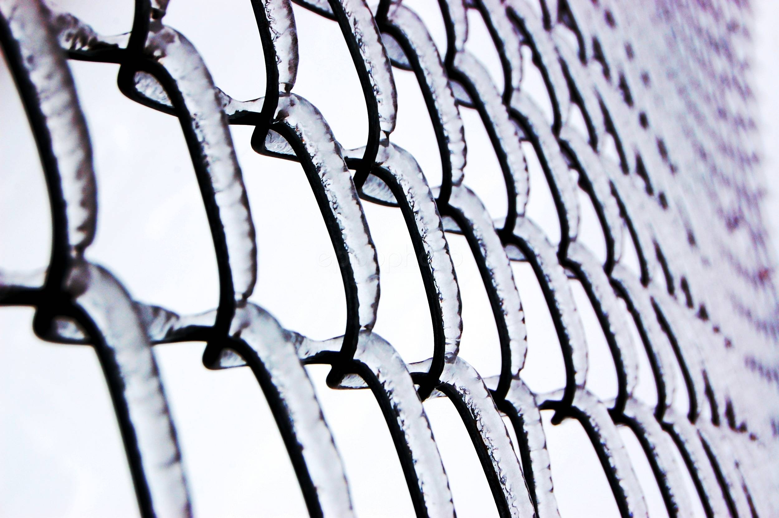 Ice Link Fence — 2009-10-14 13:11:37 — © eppbphoto.com