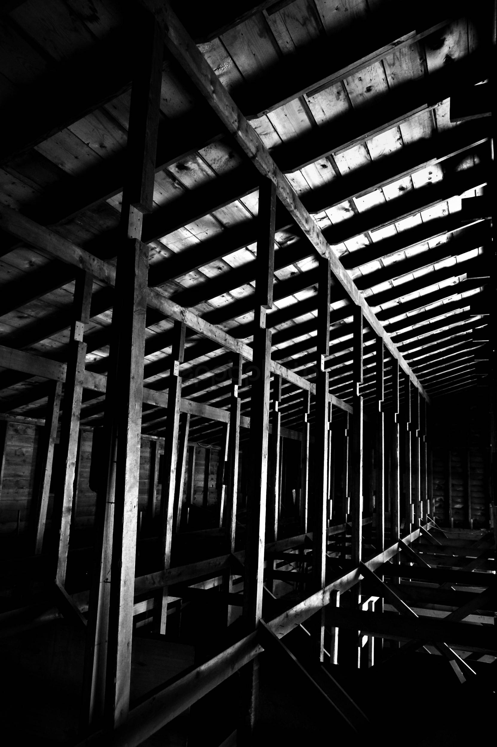 Rafters — 2010-02-20 20:56:25 — © eppbphoto.com