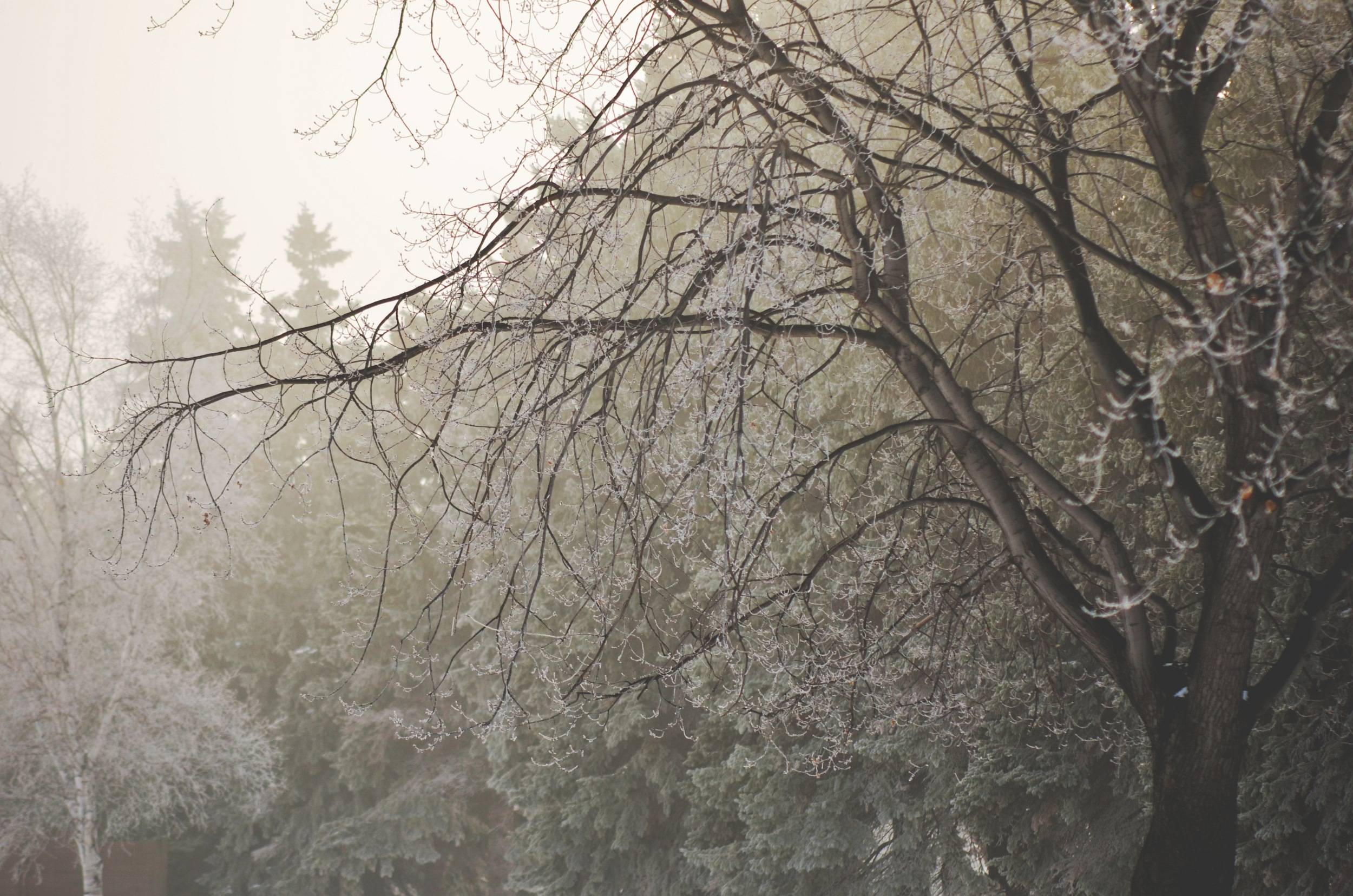 2012-11-18 20:55:58 — © eppbphoto.com