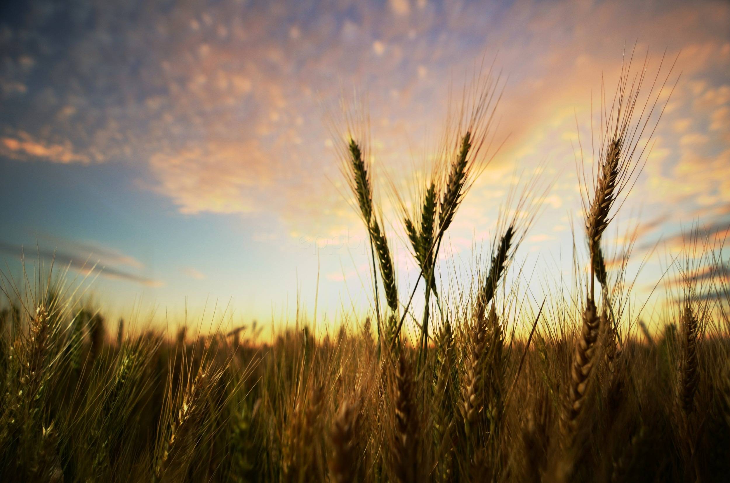 Nature and Landscape — © eppbphoto.com